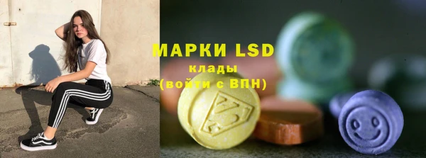 прущие грибы Балахна