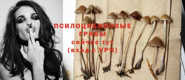 прущие крисы Армянск
