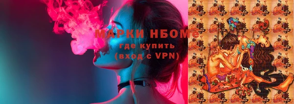 прущие грибы Балахна
